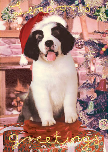 Puppy Dog Pack of 5 Christmas Greeting Cards by Max Hernn - Click Image to Close